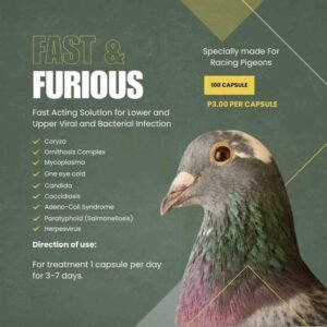 Fast and Furious (Bottle)