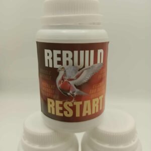 Rebuild Restart